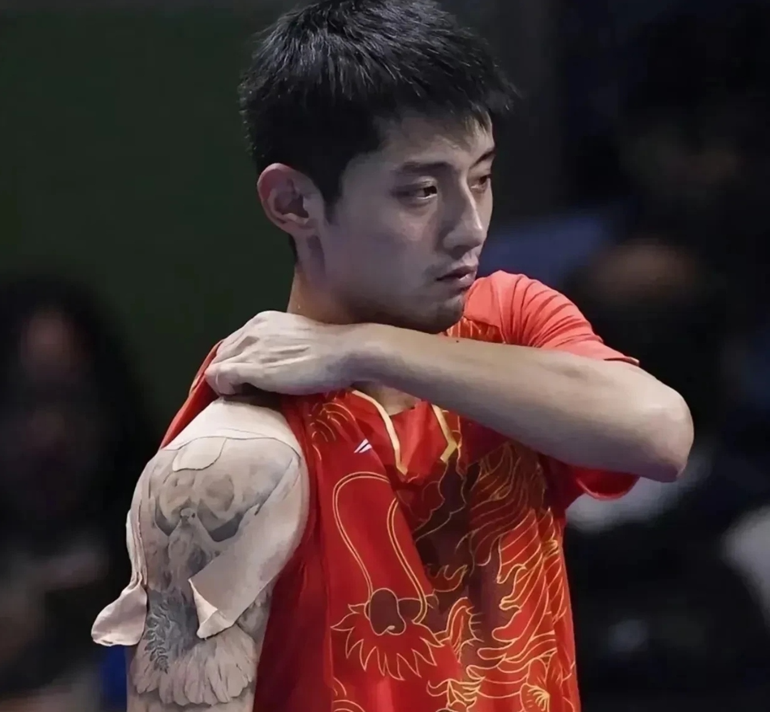 比利时乒乓球队血洗韩国乒乓球队，张继科爆发神勇