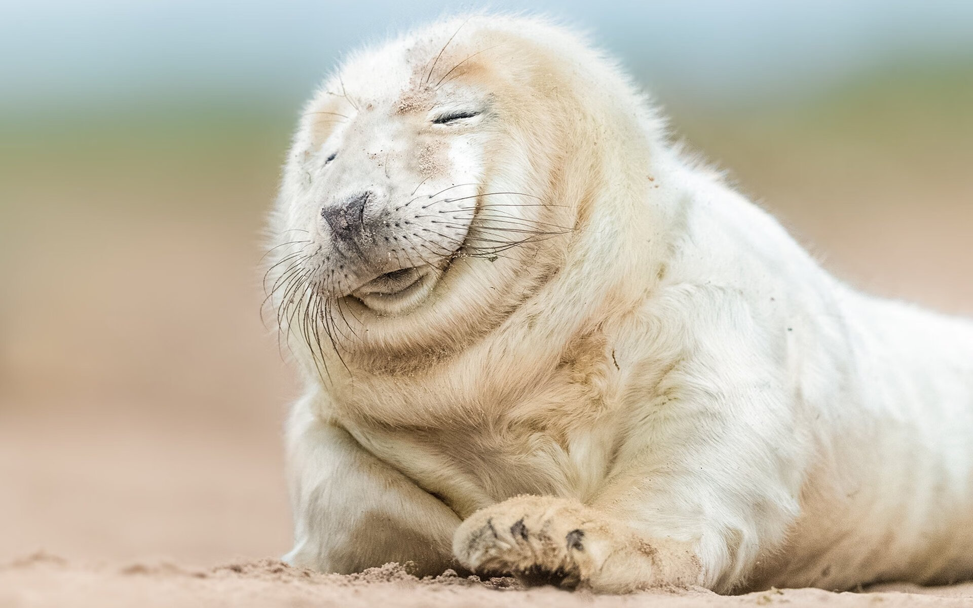 罗马角斗士碾碎红魔童话，当英超争冠泡沫撞上欧联杯残酷现实