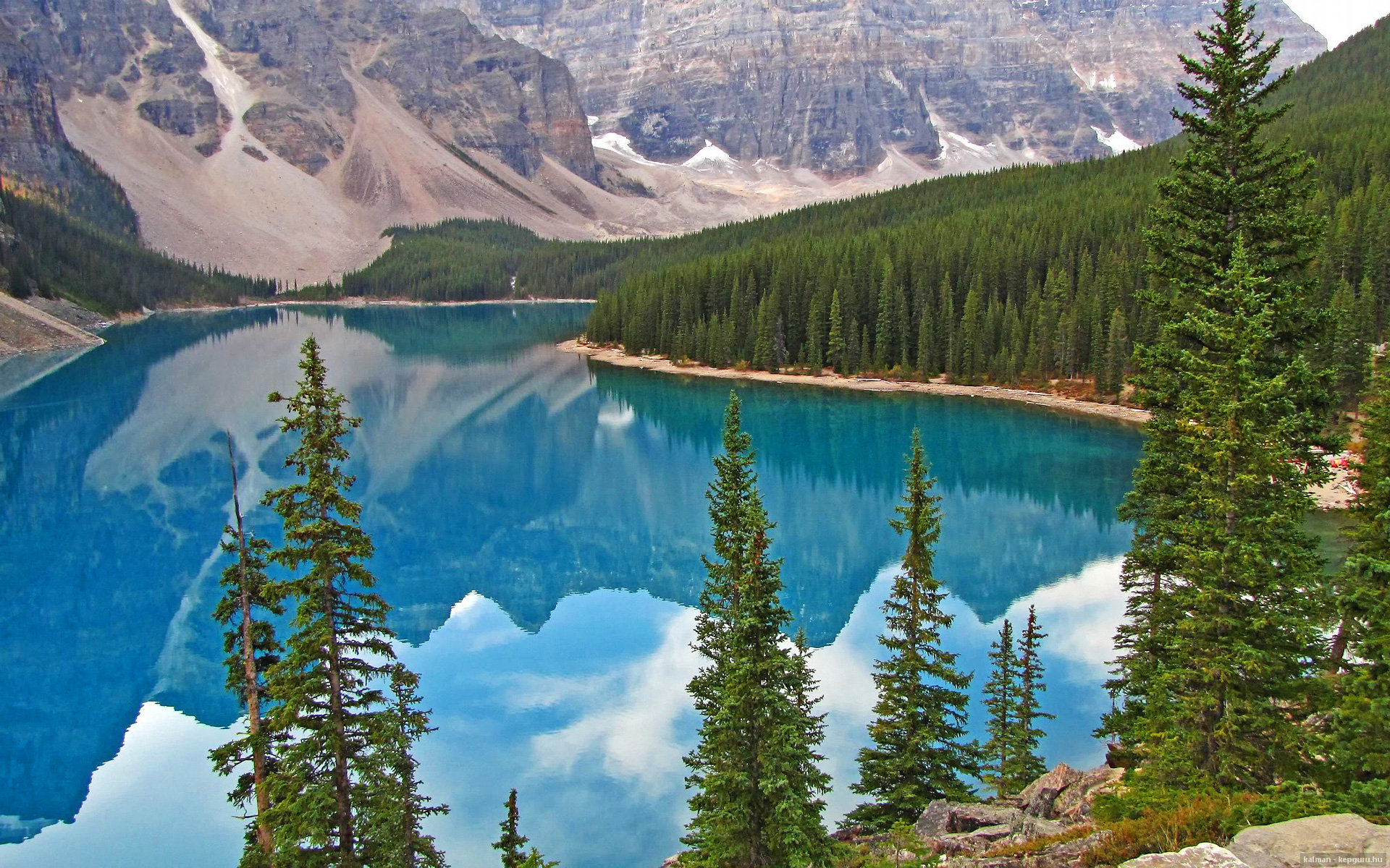 跨领域统治力,从NBA到欧冠的王者之夜,锡安的双重闪耀