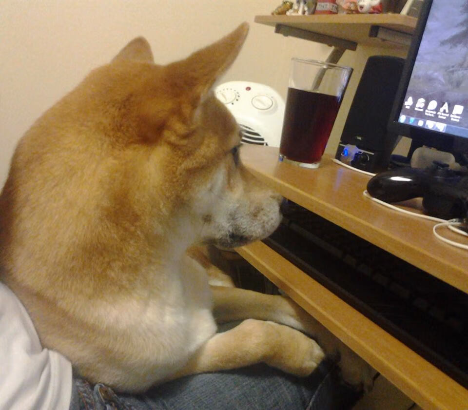 战术跨界演绎,北京队在西甲国家德比式焦点战中完胜步行者,揭秘篮球场上的足球智慧